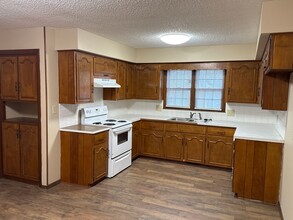 1117 E Rosebrier St in Springfield, MO - Building Photo - Building Photo