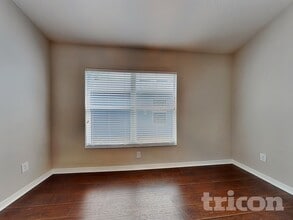 4213 Branchside Ln in Wesley Chapel, FL - Foto de edificio - Building Photo