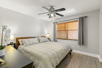 5817 Park St N in St. Petersburg, FL - Building Photo - Building Photo