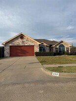 209 Cloudcroft Dr in Wylie, TX - Building Photo