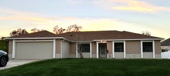 2834 Wild Pepper Ave in Deltona, FL - Building Photo