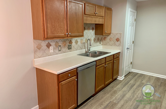 303 Pelham Square Way in Greer, SC - Building Photo - Building Photo