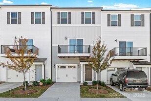 15018 Scoter St in Charlotte, NC - Building Photo