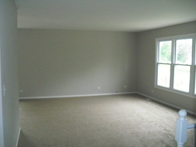 253 Windsor Dr in Bolingbrook, IL - Building Photo - Building Photo