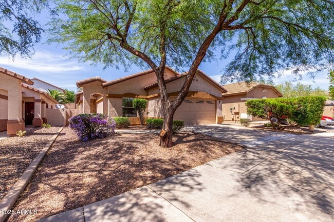 2556 W Amber Sun Dr in Phoenix, AZ - Building Photo - Building Photo
