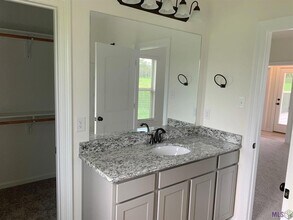 28219 S Grand Marsh Ct in Denham Springs, LA - Building Photo - Building Photo
