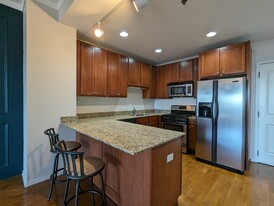 826 W Grace St, Unit 602 in Chicago, IL - Building Photo - Building Photo