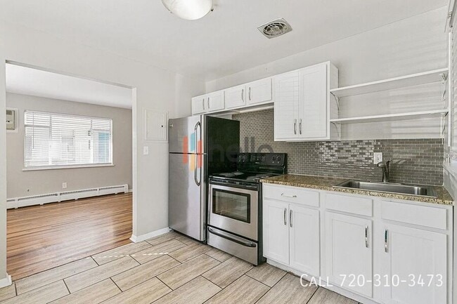 1037 Ammons St in Denver, CO - Building Photo - Building Photo