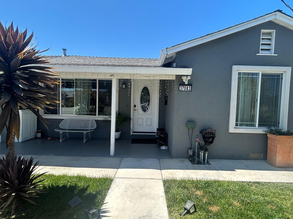 37083 Holly St in Fremont, CA - Building Photo