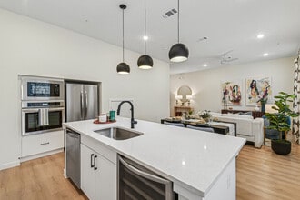 Oasis at Stone Oak in San Antonio, TX - Building Photo - Building Photo