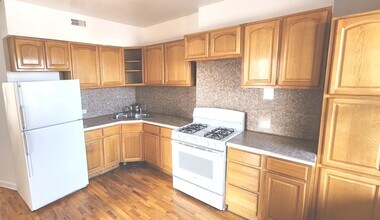 913 N Lawndale Ave in Chicago, IL - Building Photo - Building Photo