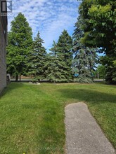 2-32 Stonehill Ct in Toronto, ON - Building Photo - Building Photo