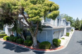 Cabernet Vineyards in San Jose, CA - Building Photo - Building Photo