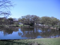 Pine Lake Apartments in Oklahoma City, OK - Foto de edificio - Building Photo