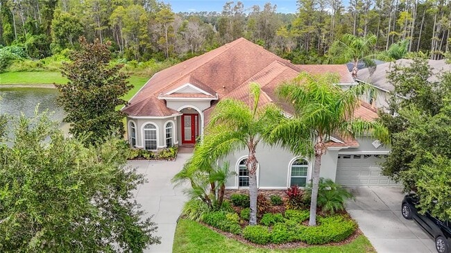 20952 Amanda Oak Ct in Land O Lakes, FL - Building Photo - Building Photo