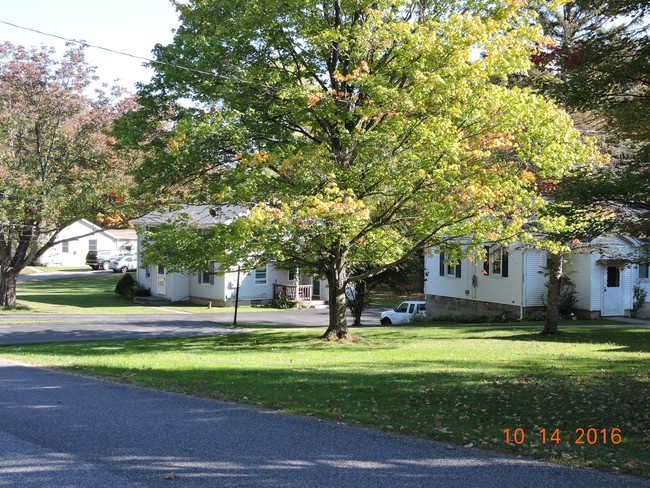 7438 Heinrich Rd in Hamburg, NY - Building Photo - Building Photo