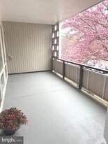 7553 Spring Lake Dr in Bethesda, MD - Building Photo