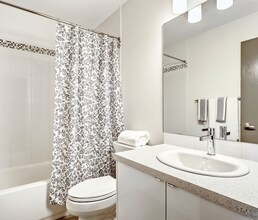 Spruce Grove Lane in Calgary, AB - Building Photo - Building Photo