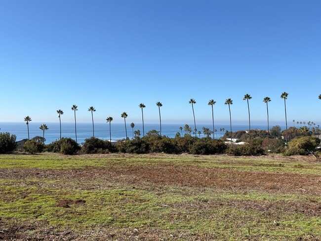 1345 Belleview Ave in Encinitas, CA - Building Photo - Building Photo