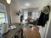 56 E Springfield St, Unit 2 in Boston, MA - Building Photo - Building Photo