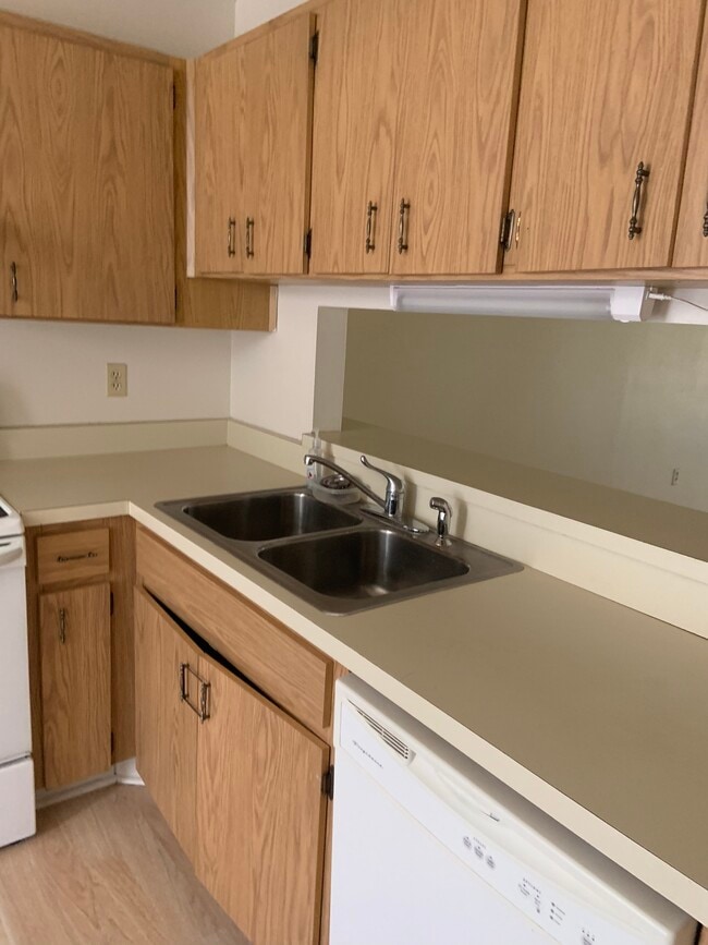 2914 Wainwright Ct in New Port Richey, FL - Building Photo - Building Photo