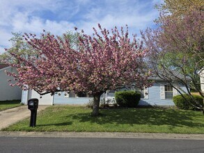 13 Honeysuckle Ln in Newark, DE - Building Photo - Building Photo