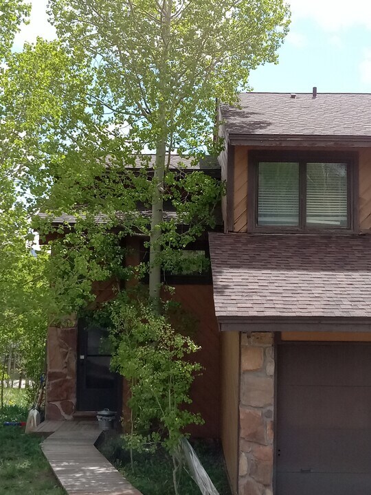 252 Poplar Cir in Silverthorne, CO - Foto de edificio