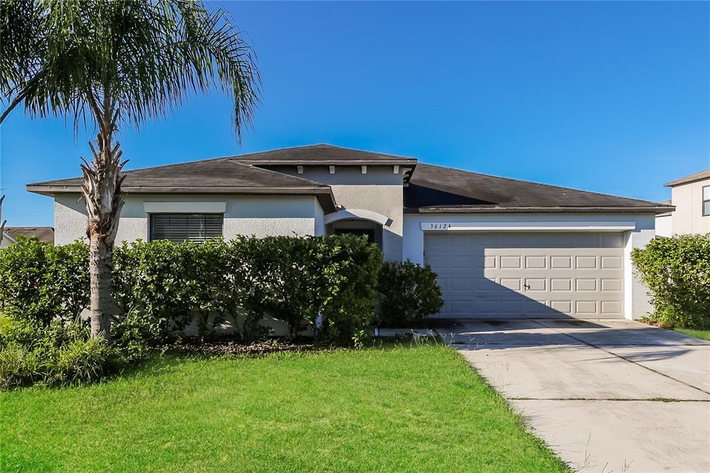 36124 Stable Wilk Ave in Zephyrhills, FL - Building Photo