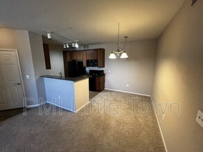 17389 Nature Walk Trl in Parker, CO - Building Photo - Building Photo