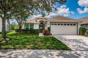 11246 Cypress Reserve Dr in Tampa, FL - Building Photo