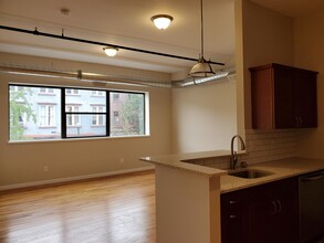502 Broadway in Troy, NY - Building Photo - Building Photo