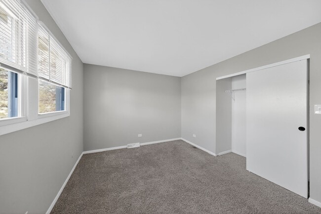 6113 Spring Ln in Matteson, IL - Foto de edificio - Building Photo