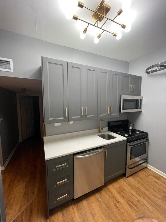 738 W California Ter, Unit #2 in Chicago, IL - Building Photo