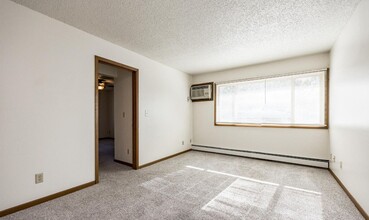 Dodge Street Apartments in Iowa City, IA - Building Photo - Building Photo