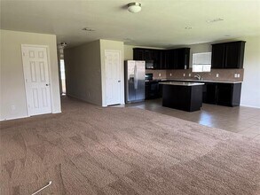 1017 Rivers Creek Ln in Little Elm, TX - Building Photo - Building Photo