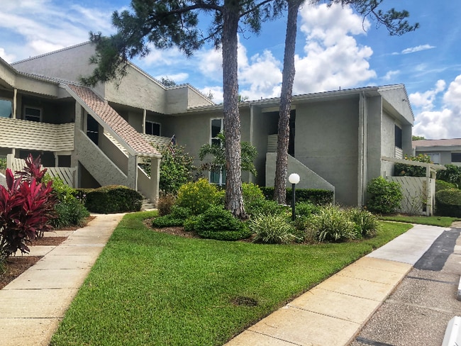 649 Windrush Bay Dr in Tarpon Springs, FL - Building Photo - Building Photo