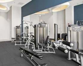 401 E Illinois St, Unit 1 in Chicago, IL - Building Photo - Building Photo