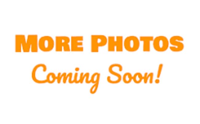 519 E 28th St in Baltimore, MD - Building Photo - Building Photo