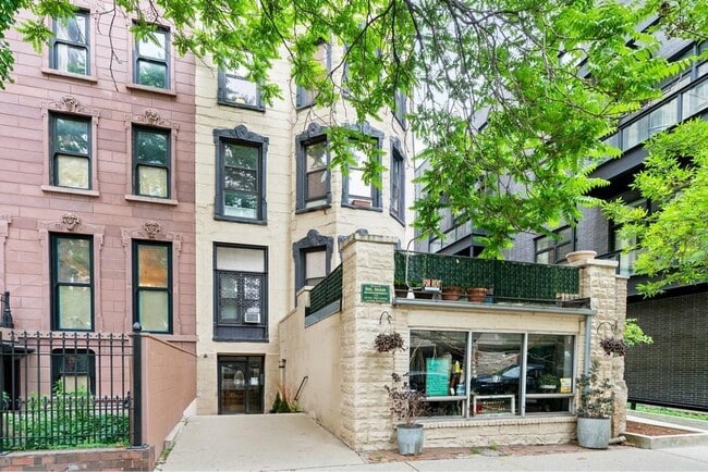 1023 N Dearborn St, Unit Studio