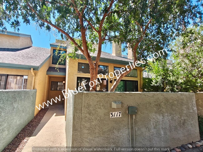 property at 3117 E Oasis De Palmeras