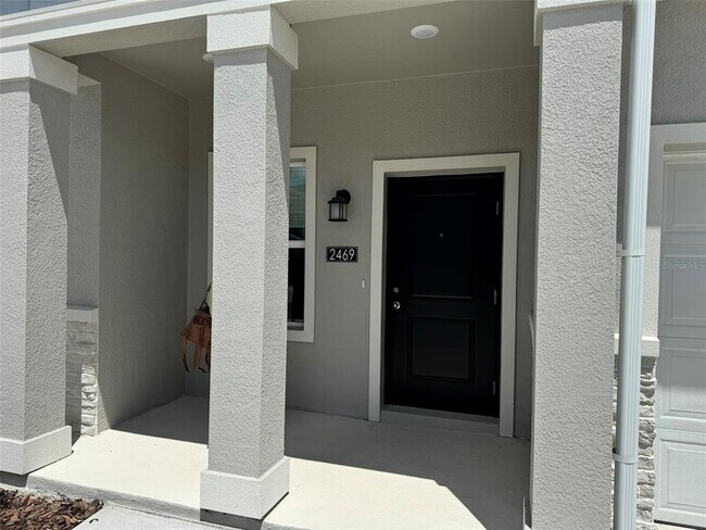 2469 Skyline Lp in Kissimmee, FL - Building Photo - Building Photo