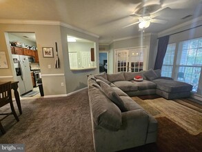2495 Amber Orchard Ct in Odenton, MD - Foto de edificio - Building Photo
