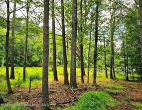 272 Yerry Hill Rd in Woodstock, NY - Building Photo - Building Photo