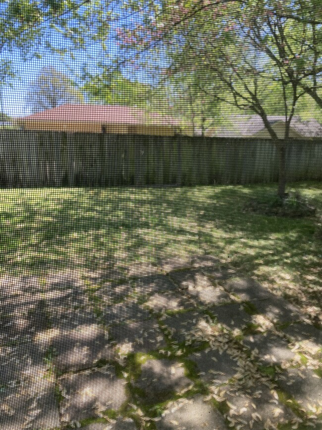 202 N Meadowview Ave in Springfield, MO - Building Photo - Building Photo