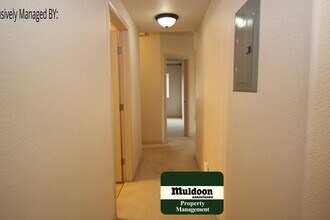 1590 Little Bear Creek Point in Colorado Springs, CO - Building Photo - Building Photo