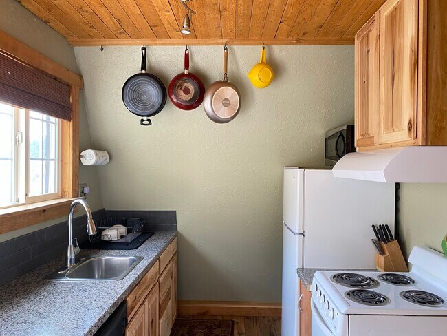174 Co Rd 4 in Alma, CO - Building Photo - Building Photo