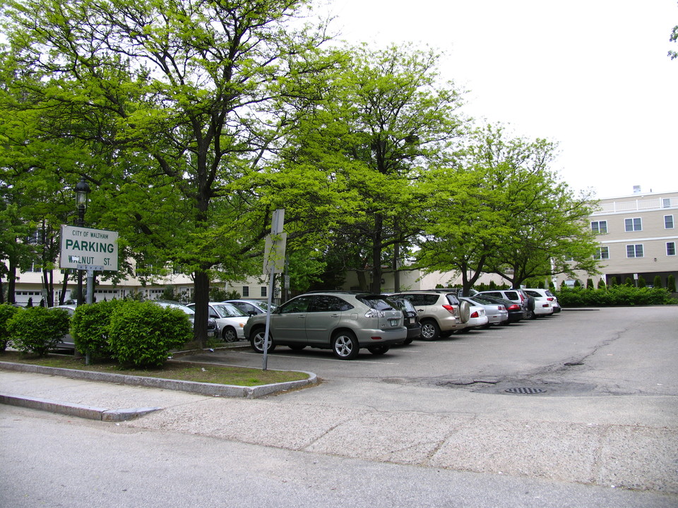 Walnut St. Apartments in Waltham, MA - Building Photo