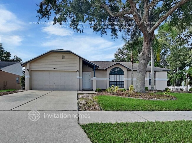 property at 11401 Andy Dr