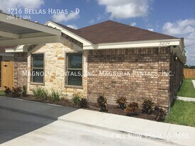 3216 Bellas Hadas St in Edinburg, TX - Building Photo