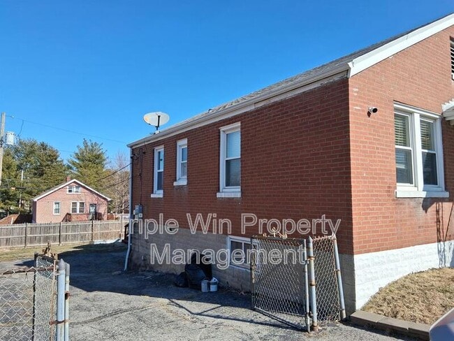 313 Carthage Ave in St. Louis, MO - Building Photo - Building Photo